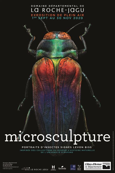 Microsculpture | VIVANT 2020