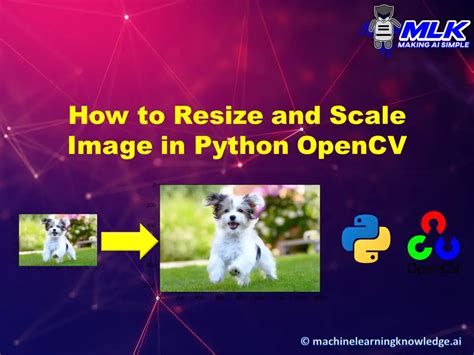 How To Scale And Resize Image In Python With Opencv Cv2resize Mlk