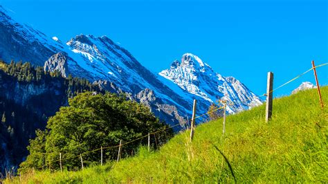 Kostenlose Foto Landschaft Natur Gras Berg Wiese Tal Gebirge
