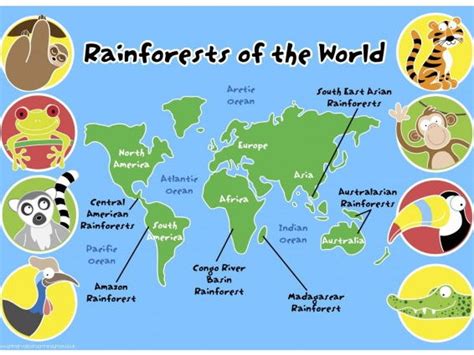 Because the tropics are in the center of the. Rainforests of the World Map Pack | Teaching Resources