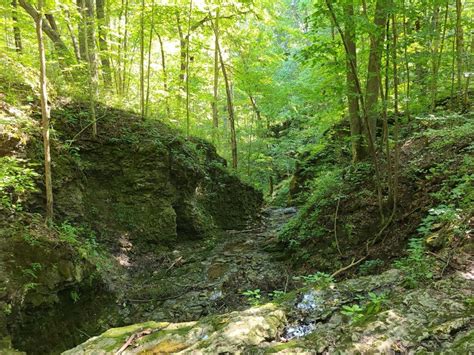 The Salamonie River State Forest Is A Great Place To Explore In Indiana