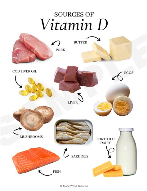 Sources Of Vitamin D Handout — Functional Health Research Resources