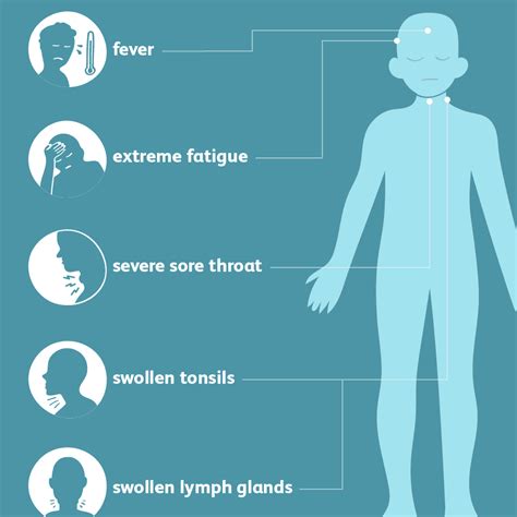 Mononucleosis Mono Overview And More