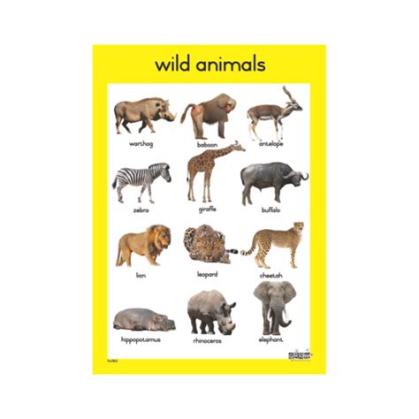 Theme Wild Animals A3 Single Chart Grow Learning Company