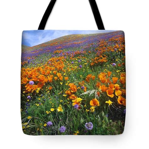 California Poppy And Other Wildflowers Photograph By Tim Fitzharris