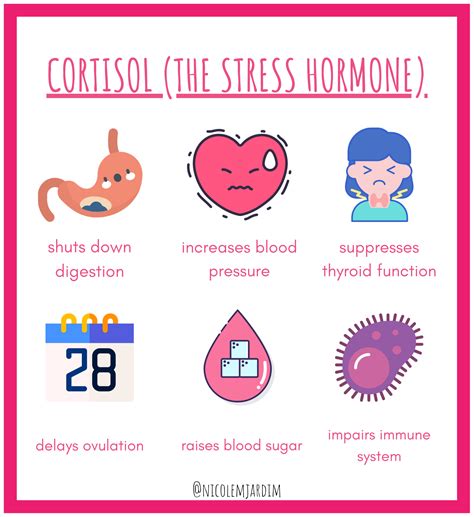 How Stress And Cortisol Can Affect Your Period Nicole Jardim