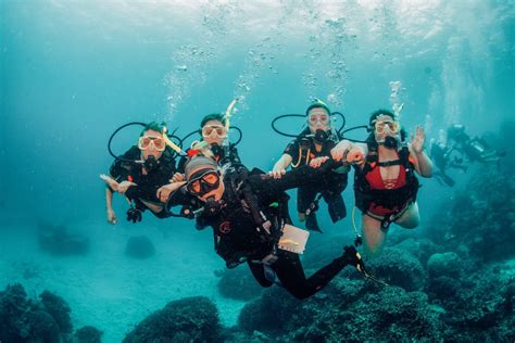 Everything To Know About Scuba Diving In The Great Barrier Reef The