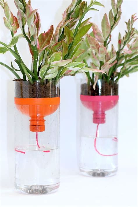 Diy Self Watering Planters With Recycled Bottles Artofit