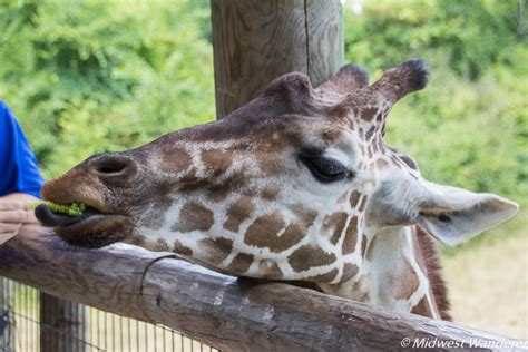 Fort Wayne Childrens Zoo Revisited