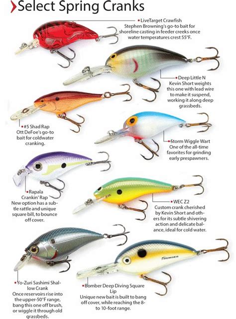 Jerkbaits And Crankbaits For Bass In Fisherman Fishinglures With