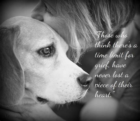 Quotes For Pet Loss Inspiration