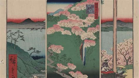 Cherry Blossoms In Japanese Culture Library Of Congress