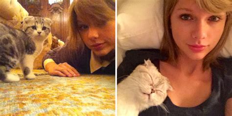 18 Things You Should Know Before Dating A Cat Lady