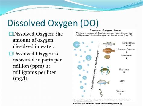 The Dissolved Oxygen In Water An Indicator Of Water Quality