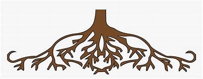 Roots Clipart Tree Transparent Pngitem