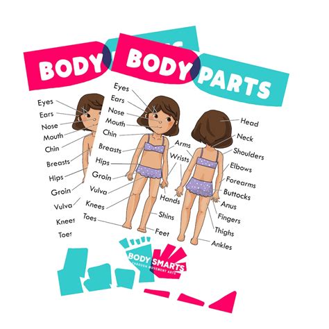 Body Parts Anatomy Sex Ed Private Parts Poster Printables Female Double Side Etsy