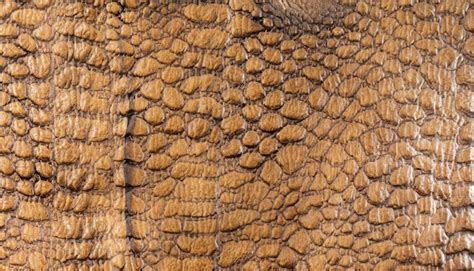 Premium Photo Dinosaur Animal Skin Texture For Background