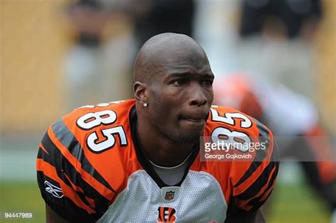 Bengals Chad Ochocinco Photos And Premium High Res Pictures Getty Images