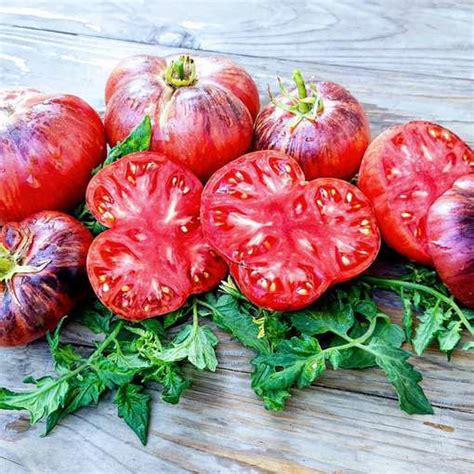 Lovely Lush Beefsteak Tomato Meraki Seeds