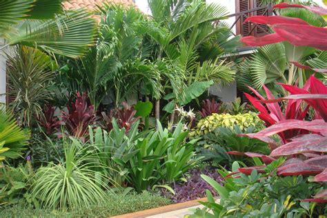 Tropical Garden Cactus Garden Landscaping Small Garden Landscape