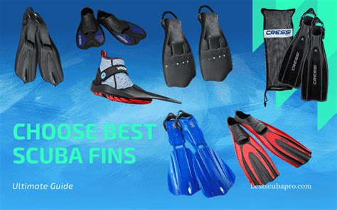Ultimate Guide On How To Choose Scuba Fins Diver Guide 2024 Best