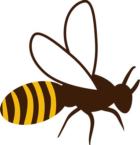 Honey Bee Clipart Free Download Transparent Png Creazilla