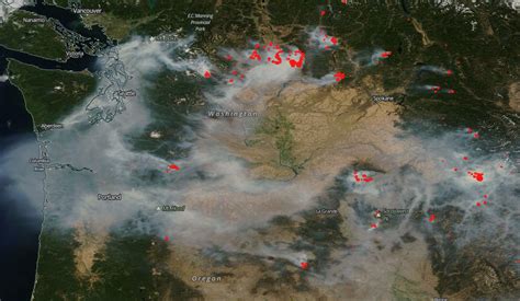 Meat Fires In Washington State