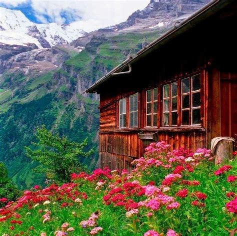 Switzerland Mountain Cabin Mountain Cabin Cabins And Cottages Cabin