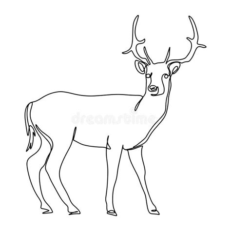 Forest Deer Line Art Vector Illustration Stock Illustration