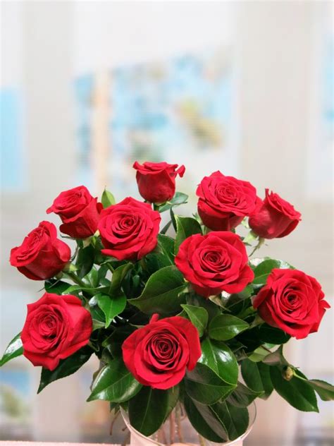 Ramo De 10 Rosas - Estudiar
