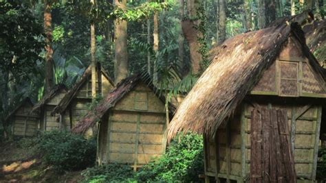 Mengenal Rumah Adat Suku Baduy Dalam Vrogue Co