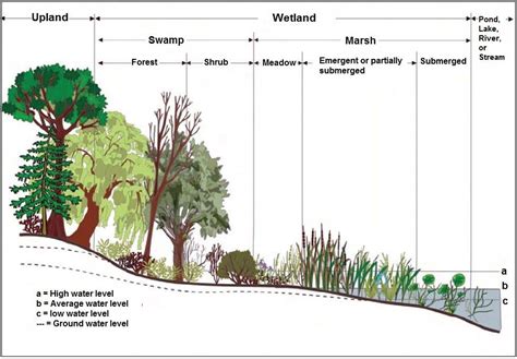 Wetland And Land Use Permitting Weston Ma
