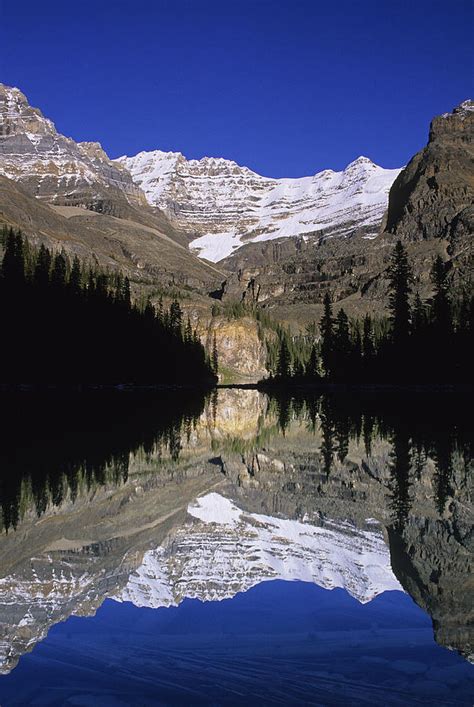 Lake Ohara Yoho National Park British Photograph By John Sylvester