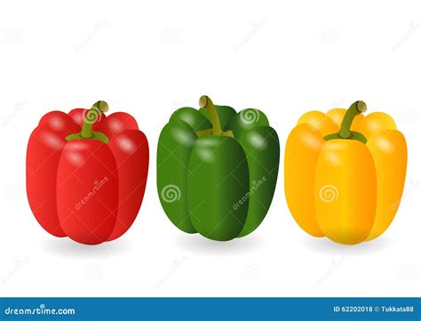 Sweet Pepper 3 Color Redyellowgreen Vector Illustration Stock Vector