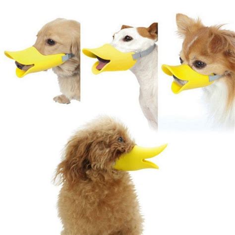 Pekins don't tend towards broodiness (meaning the females don't have a tendency to sit on eggs to hatch ducklings), so artificial incubation is usually needed if you are interested in hatching pekin eggs. New York Mall HOT Novelty Cute Duckbilled Dog Muzzle