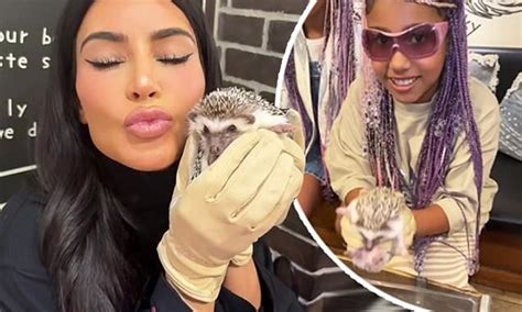 Kim Kardashian Takes Daughters North And Chicago Plus Niece Penelope On Trip To See Hedgehogs