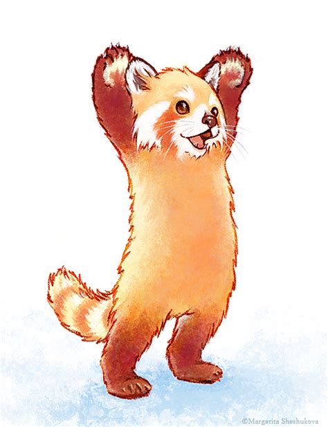 How To Draw A Cute Red Panda
