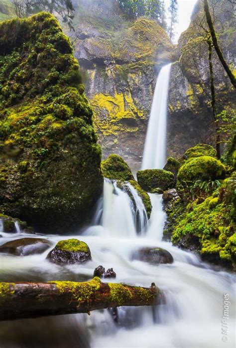 Elowah Falls In Oregons Columbia River Gorge Drops Into A Lush Alcove