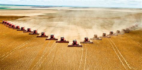 Sustainability Advantage High Yield Intensive Agriculture Outpaces