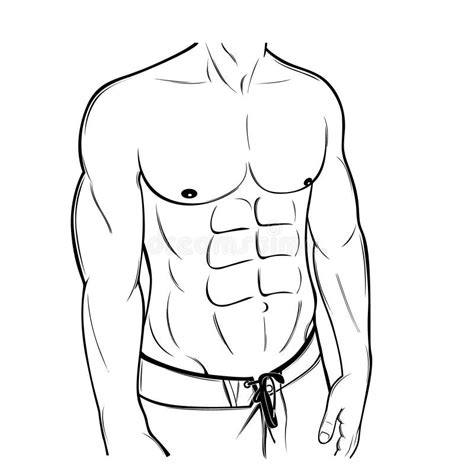 Abs Clipart