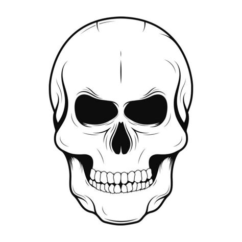Black And White Skull Bone Vector Illustration Isolated On White