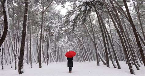 Sad What To Do About Seasonal Affective Disorder This Winter
