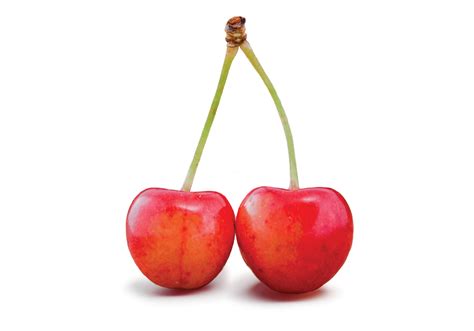 Cherries — Gee Whiz Premium Fruit Grower