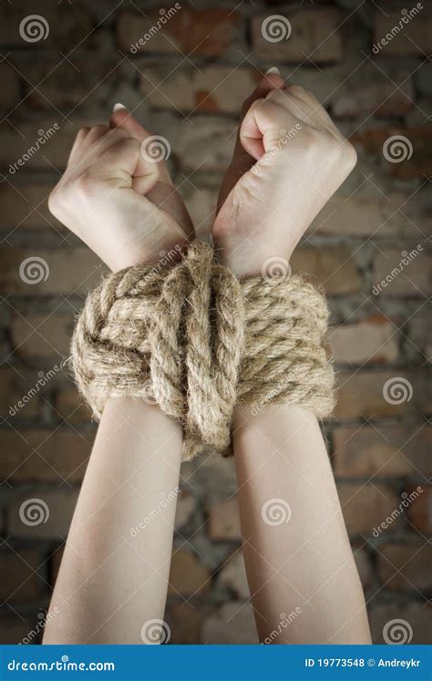 Hands Tied Up With Rope Stock Photo Image Of Knot Civil 19773548