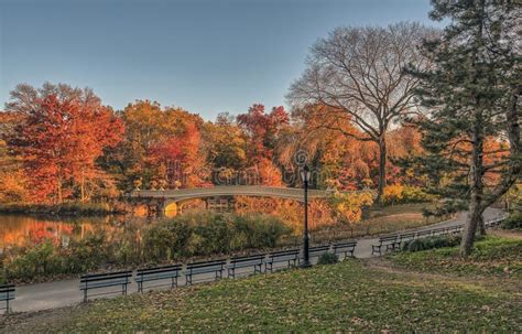 Bow Bridge Central Park Autumn Stock Photo Image Of Tourist Landmark