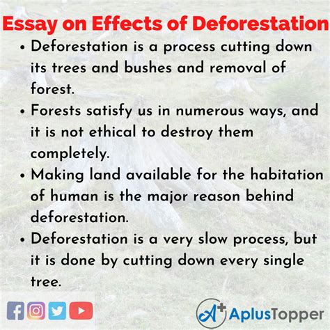 Forest Depletion Cause And Effect Forest Fires Causes Effects