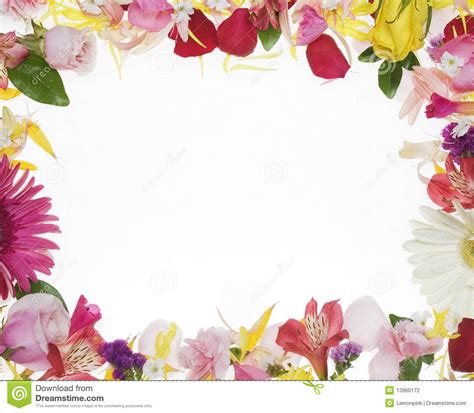 Flower Border Stock Photo Image Of Yellow Background 13960172