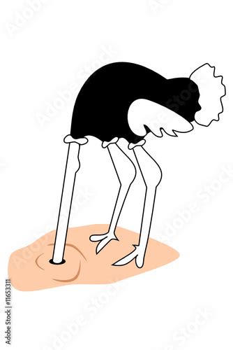 A Ostrich With Its Head Buried In The Sand Stock Image And Royalty