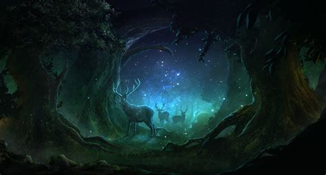 Tapeta na monitor Fantasy jelen les noc světla kouzlo