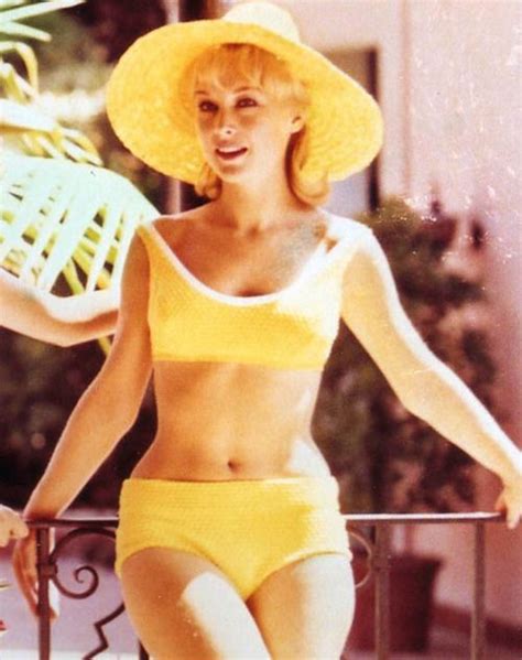 Barbara Eden In A Bikini IBikini Cyou
